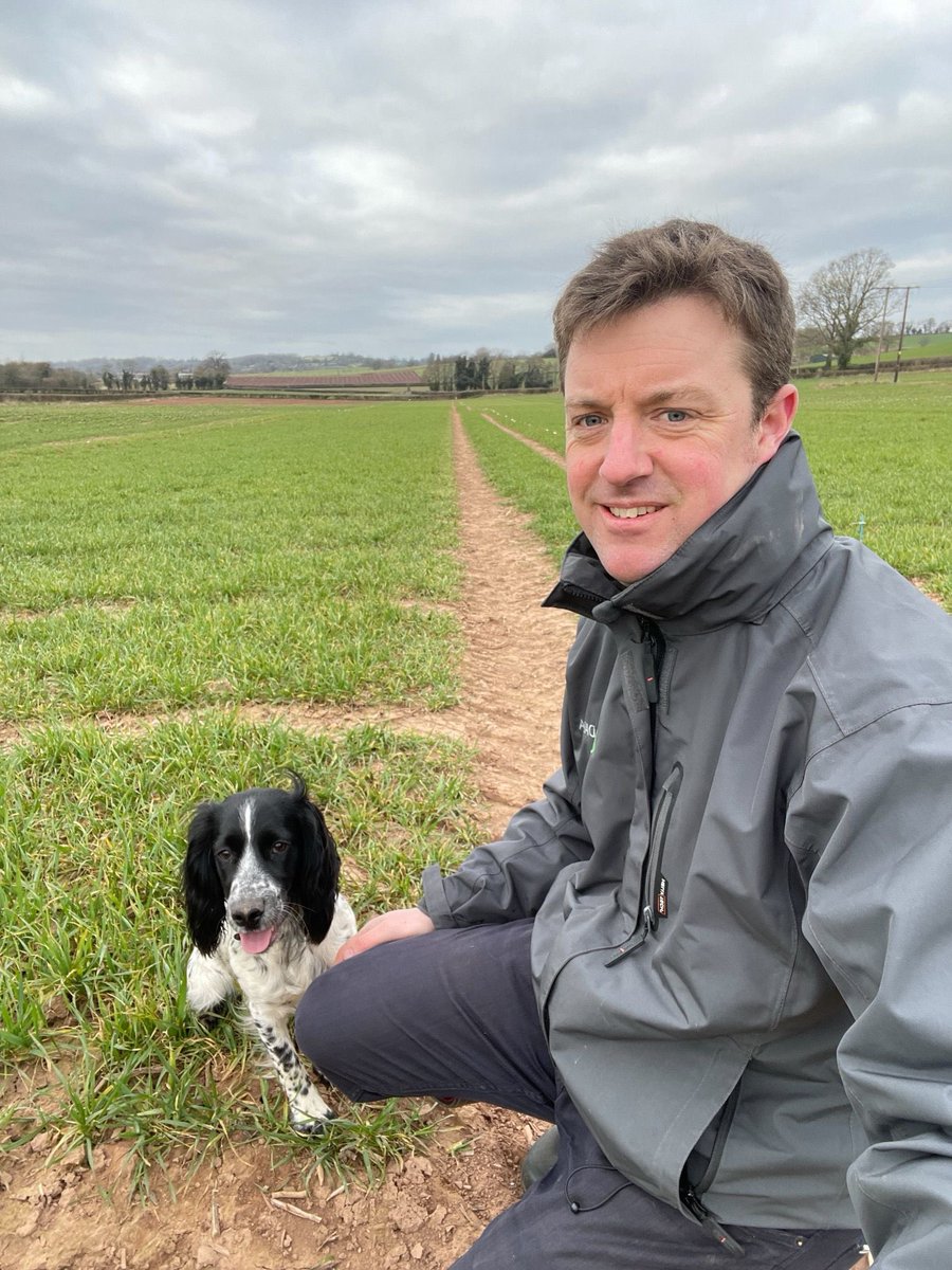 David Griffiths tweet media