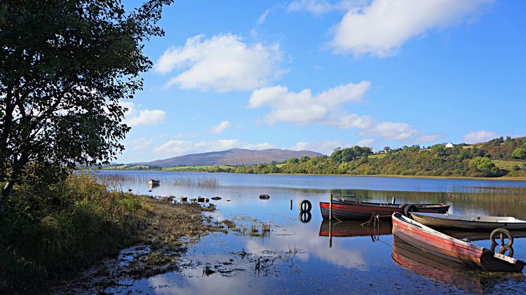 WeLoveDonegal (@welovedonegal) on Twitter photo Good #Tuesday 18th #March morning
from beautiful #Donegal 💚💛
Today's #GoodMorning pic is #fishing boats on Lough Akibbon #Gartan #ChurchHill
#reflections #boats #clouds #trees #nature #peaceful #calm #happy
#Ireland .
<a href="/ThePhotoHour/">#ThePhotoHour</a> Good #Tuesday 18th #March morning
from beautiful #Donegal 💚💛
Today's #GoodMorning pic is #fishing boats on Lough Akibbon #Gartan #ChurchHill
#reflections #boats #clouds #trees #nature #peaceful #calm #happy
#Ireland .
<a href="/ThePhotoHour/">#ThePhotoHour</a>