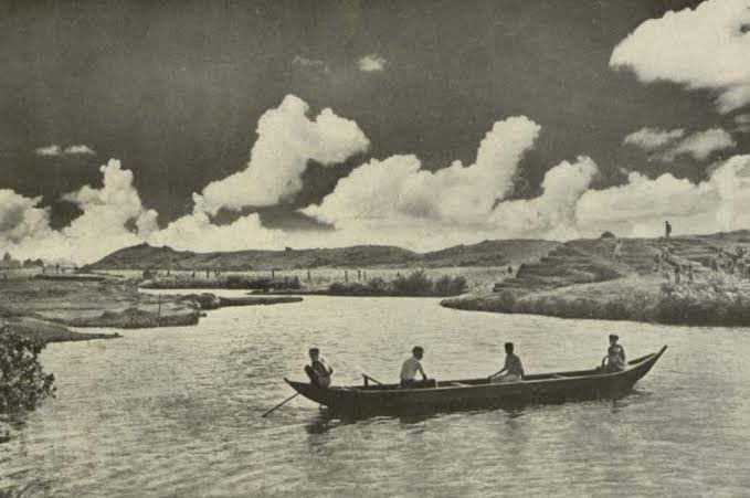 Save_Gangua tweet media