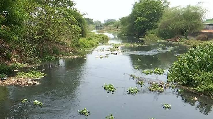 Save_Gangua tweet media