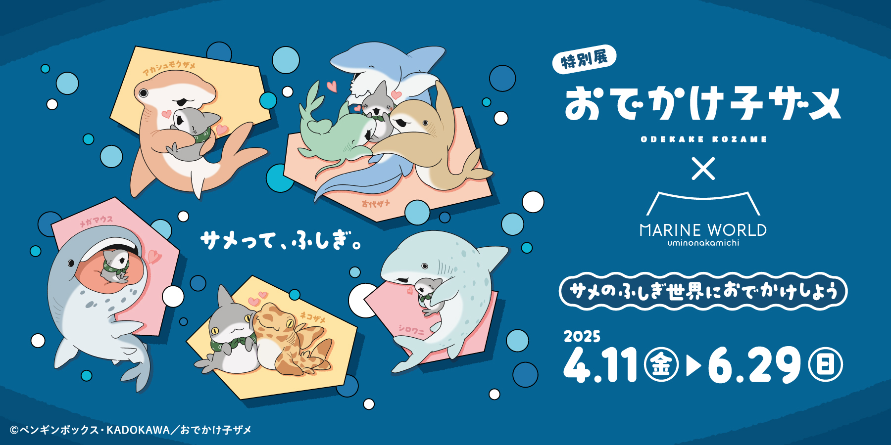 【最終値下げ】おでかけ小ザメ マリンワールド コラボ セット まとめ売り コンプ マリンワールド海の中道【公式】 on X: