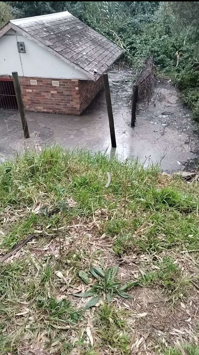 KimTerriSmith's tweet photo. @environmentza we need help in Somerset East / Kwanajoli – this is our sewerage plant that the municipality have let get to breaking and overflowing point. Sewage running into our rivers. Please tell us who to contact to hold BCRM accountable 🙏 https://t.co/Kh2j4RcB59