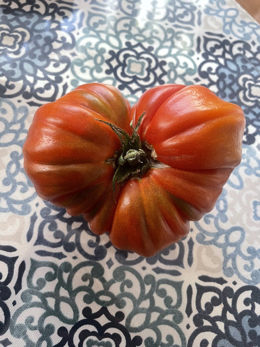 kalp domates 🍅 siz ne yapmanız gerektiğini biliyorsunuz