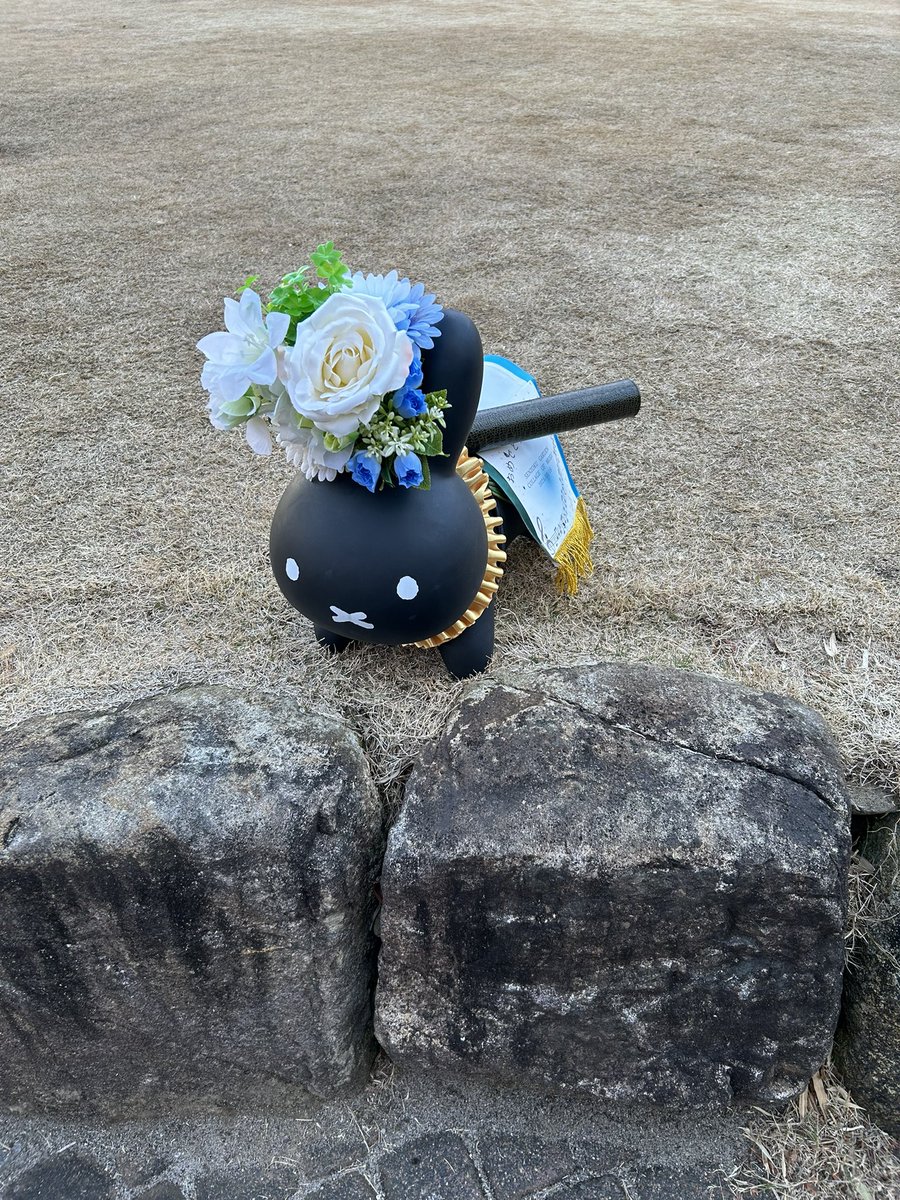 ようやく20歳になりました！
これからも頑張ります‼️