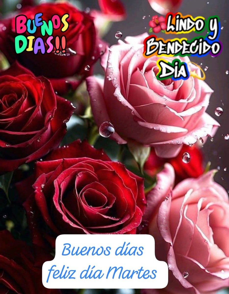 Cristóbal Peña tweet media