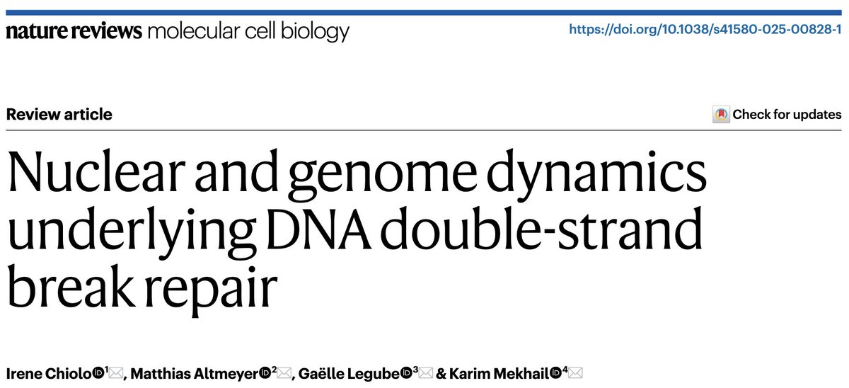 Karim Mekhail (@karimmekhail) on Twitter photo 🚀Our new review <a href="/NatRevMCB/">Nature Reviews Molecular Cell Biology</a> explores how nuclear and genome organization drive DNA double-strand break repair! 🧬
This collaboration spans 🇺🇸(<a href="/chiolo_lab/">Irene Chiolo</a>), 🇨🇭(<a href="/altmeyerlab/">altmeyerlab</a>), 🇫🇷(<a href="/LabLegube/">Gaëlle Legube lab Chromatin Repair</a>), &🇨🇦(@karimmekhail); science knows no borders! 🌍
📖 rdcu.be/edViW
Please 🔄❤️ 🚀Our new review <a href="/NatRevMCB/">Nature Reviews Molecular Cell Biology</a> explores how nuclear and genome organization drive DNA double-strand break repair! 🧬
This collaboration spans 🇺🇸(<a href="/chiolo_lab/">Irene Chiolo</a>), 🇨🇭(<a href="/altmeyerlab/">altmeyerlab</a>), 🇫🇷(<a href="/LabLegube/">Gaëlle Legube lab Chromatin Repair</a>), &🇨🇦(@karimmekhail); science knows no borders! 🌍
📖 rdcu.be/edViW
Please 🔄❤️