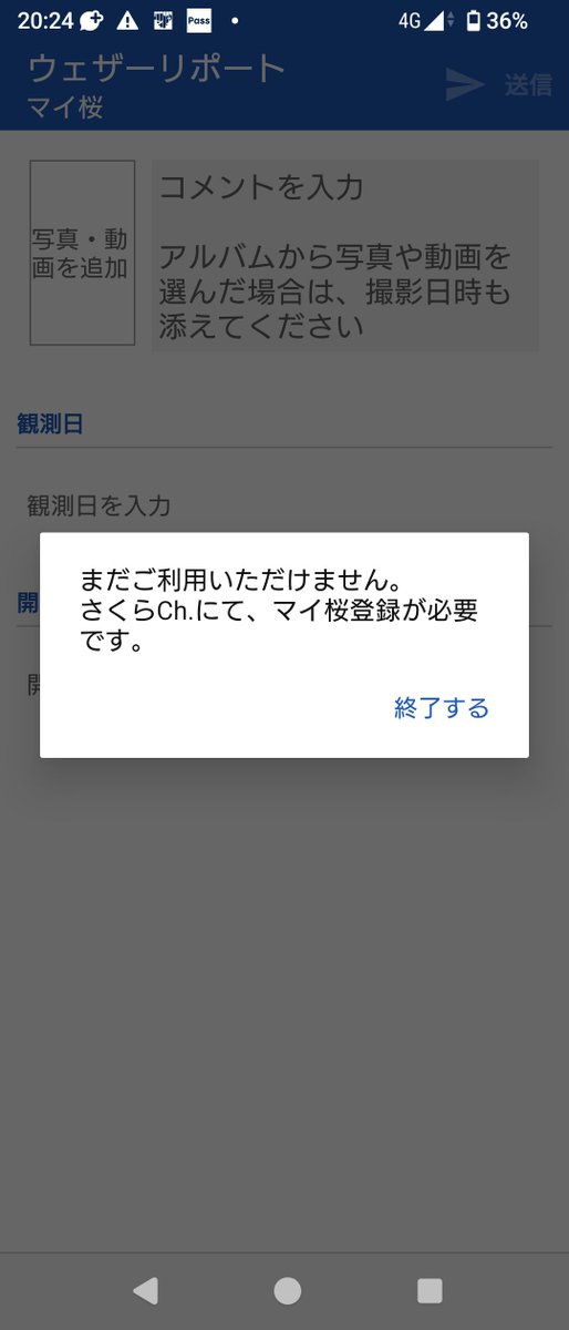 マイ桜