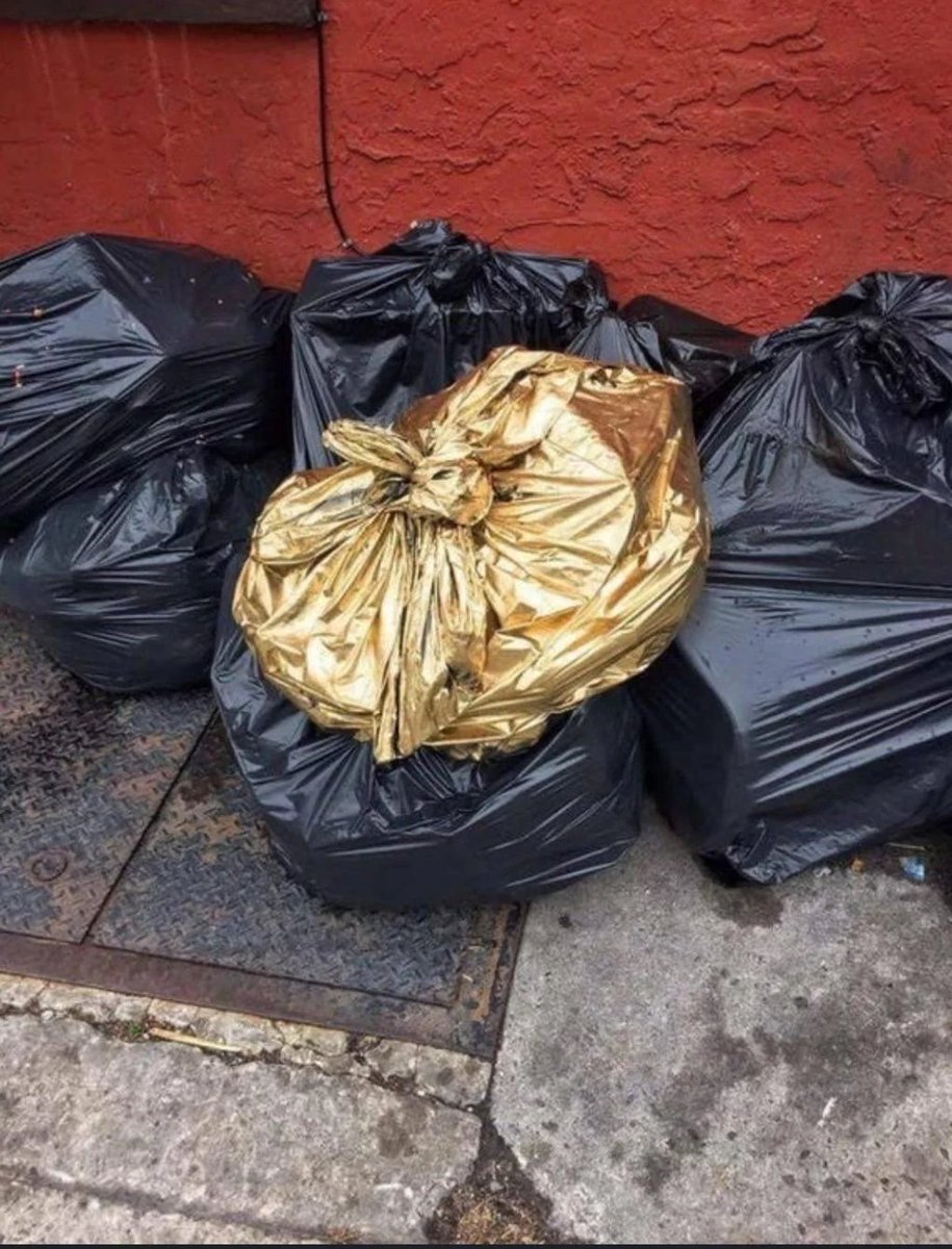 Matt Malone tweet media