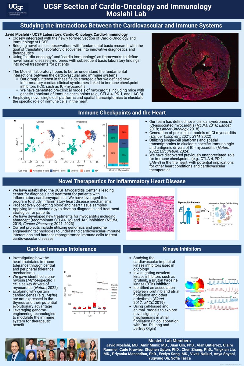 Javid Moslehi (@cardiooncology) on Twitter photo The Moslehi laboratory is recruiting a post-doctoral fellow with a PhD in immunology or molecular biology.
See below!
nature.com/naturecareers/…
Below information about the lab:
cardiooncologylab.ucsf.edu
Interested candidates can email me with CV!
javid.moslehi@ucsf.edu The Moslehi laboratory is recruiting a post-doctoral fellow with a PhD in immunology or molecular biology.
See below!
nature.com/naturecareers/…
Below information about the lab:
cardiooncologylab.ucsf.edu
Interested candidates can email me with CV!
javid.moslehi@ucsf.edu