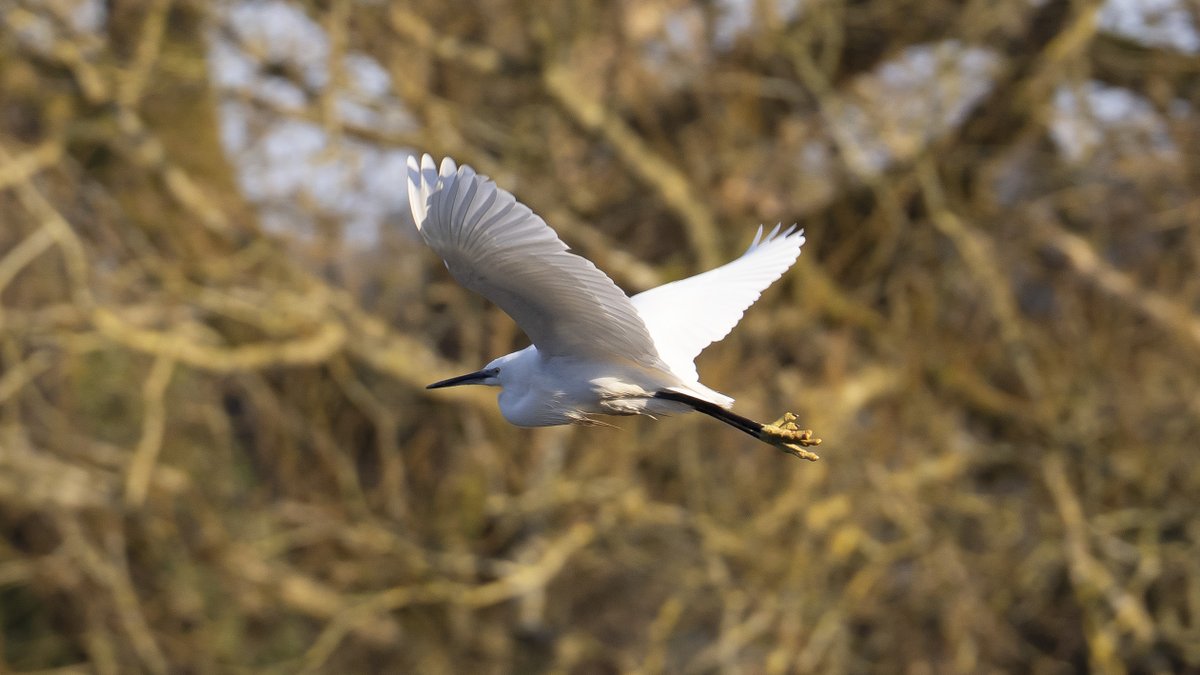 Nigel Auty (@nigel_auty) on Twitter photo An early Tuesday morning wander along the River Wharfe near Burley in Wharfedale.
#ThePhotoHour
<a href="/CanalRiverTrust/">Canal & River Trust</a>
<a href="/WildaboutOtley/">Wildlife Friendly Otley WildaboutOtley.bsky.social</a>
<a href="/_BTO/">BTO</a>
<a href="/IlkleyChat/">Ilkley Chat</a>
<a href="/IlkleyGazette/">Ilkley Gazette</a>
<a href="/wharfeobserver/">Wharfedale Observer</a>
<a href="/BBCSpringwatch/">BBC Springwatch</a>
<a href="/WildlifeDales/">WildlifeDales</a>
<a href="/AP_Magazine/">Amateur Photographer</a>
<a href="/The_Dalesman/">The Yorkshire Dalesman magazine</a>
<a href="/AllAboutYorks/">All About Yorkshire</a>
<a href="/Yorkshire2018/">Yorkshire</a> An early Tuesday morning wander along the River Wharfe near Burley in Wharfedale.
#ThePhotoHour
<a href="/CanalRiverTrust/">Canal & River Trust</a>
<a href="/WildaboutOtley/">Wildlife Friendly Otley WildaboutOtley.bsky.social</a>
<a href="/_BTO/">BTO</a>
<a href="/IlkleyChat/">Ilkley Chat</a>
<a href="/IlkleyGazette/">Ilkley Gazette</a>
<a href="/wharfeobserver/">Wharfedale Observer</a>
<a href="/BBCSpringwatch/">BBC Springwatch</a>
<a href="/WildlifeDales/">WildlifeDales</a>
<a href="/AP_Magazine/">Amateur Photographer</a>
<a href="/The_Dalesman/">The Yorkshire Dalesman magazine</a>
<a href="/AllAboutYorks/">All About Yorkshire</a>
<a href="/Yorkshire2018/">Yorkshire</a>