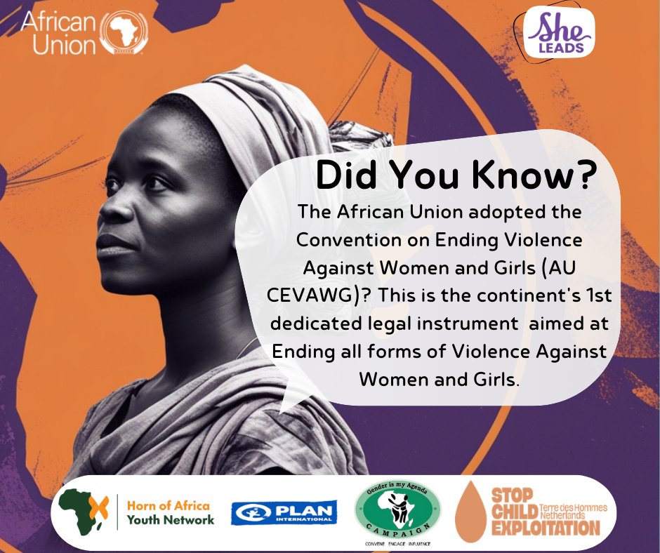 HornofAYN's tweet photo. Weโre unpacking the AU Convention on Ending Violence Against Women and Girls (AU CEVAWG)โAfricaโs first dedicated legal framework to eliminate #VAWG! What does it mean for women and girls across the continent? Stay tuned as we break it down! #AUCEVAWG #EndVAWG https://t.co/yWOgJAXmM9