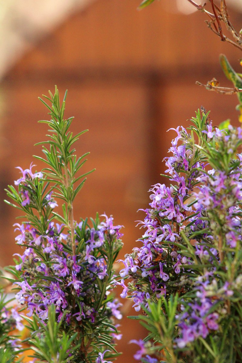 <a href="/arya_paleous2/">ARYA PALEOUS photo</a>