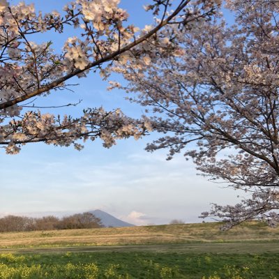 #新しいプロフィール画像