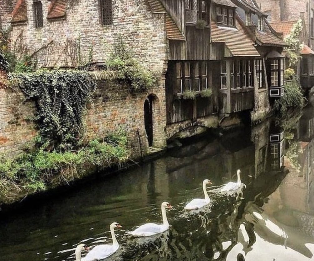 #brugge <a href="/Brugge/">Brugge</a> A city that everyone should visit at least once in their lifetime.