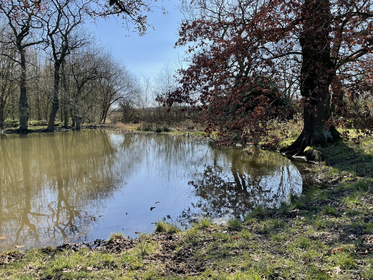 What a beautiful day for a walk! Nearly 4 miles through woodland, a canal and a village, Grappenhall is a lovely area local to us. A 3 metre high wooden sculpture, Wizard of the Woods was there to greet us as we finished the walk. 

#grappenhall #walk #wi #cheshire