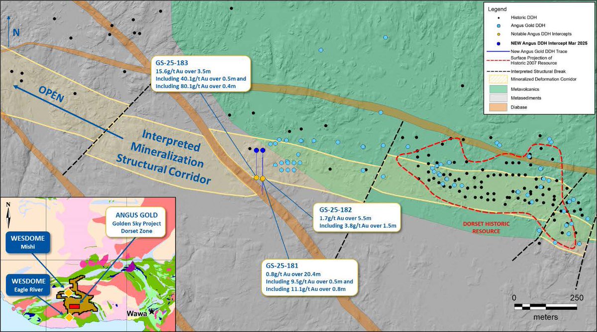 AngusGoldInc's tweet photo. Did you see the latest drill results from Angus Gold? The Dorset West Zone has doubled to 200m, with highlights including 3.5m of 15.6 g/t Au &amp; 0.4m of 80.1 g/t Au.

Watch CEO Breanne Beh discuss the results here: https://t.co/VMBlZ6iqKA

$GUS.V  #DrillResults #Gold #Mining https://t.co/4aCJHUAa6F