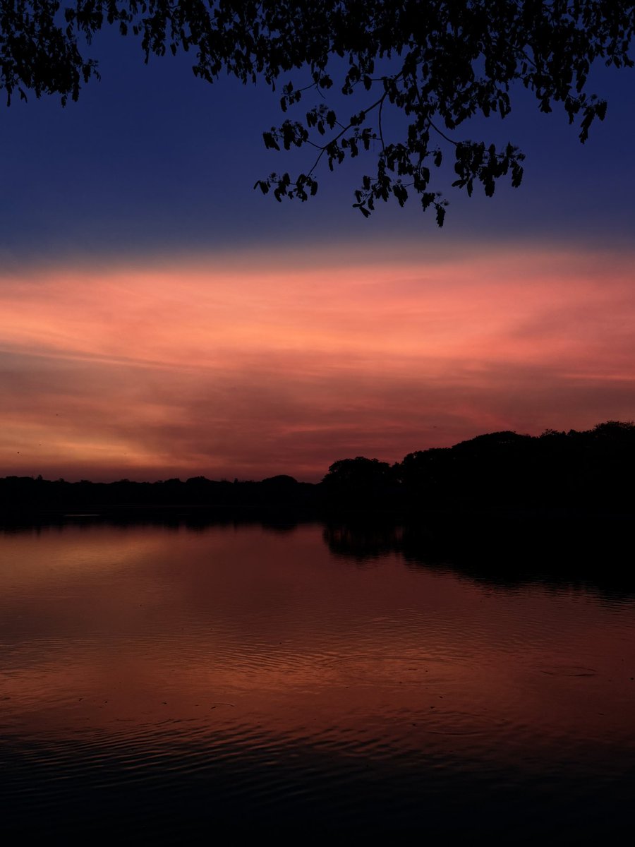 Manoranjan (@manoranjnsuresh) on Twitter photo Evening Glow!
#Kukkarallikere #Mysuru Evening Glow!
#Kukkarallikere #Mysuru