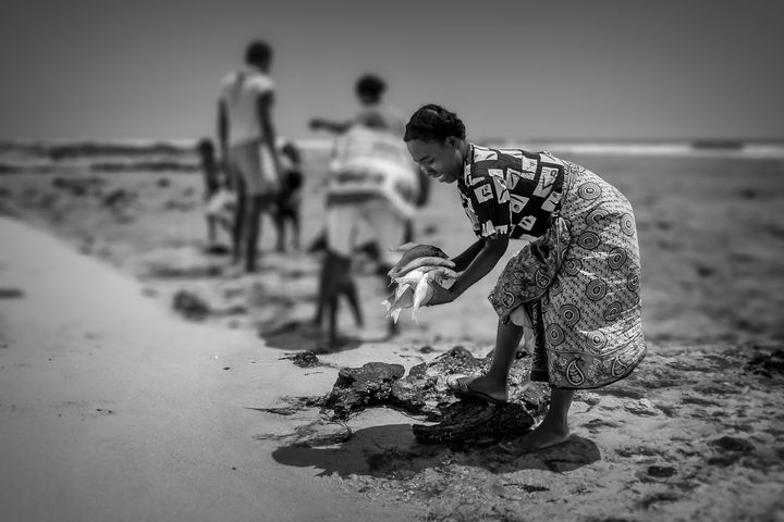 Art of the Day: "The nourishing sea". Buy at: ArtPal.com/pierivb?i=1082…