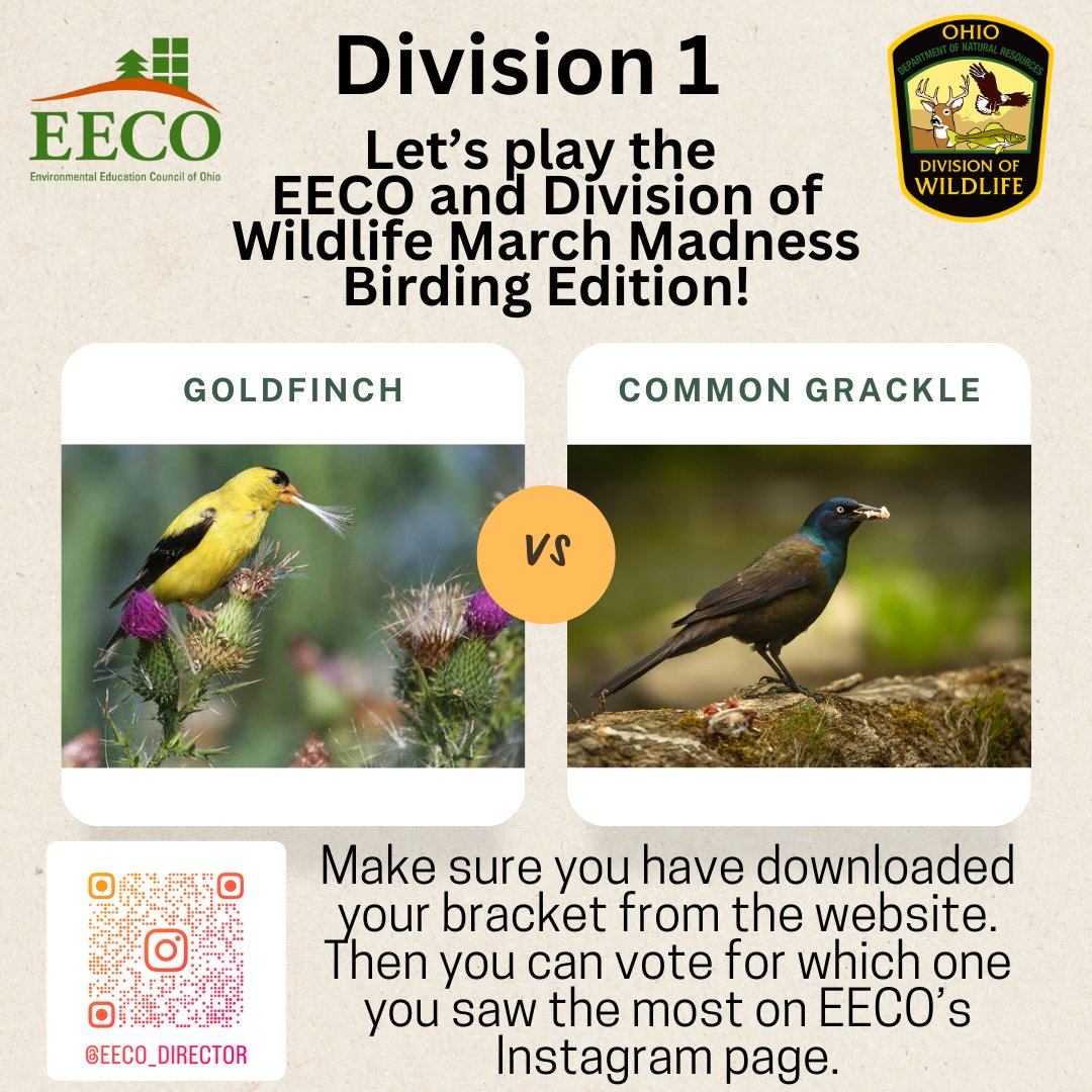 directorEECO's tweet image. Play along and let us know which bird you saw more by voting on our Instagram page. 
To learn about our March Madness Bird Brackets, go to: eeco.wildapricot.org/page-1786411

#getoutside #marchmadnessbirdbracket #BirdingFun