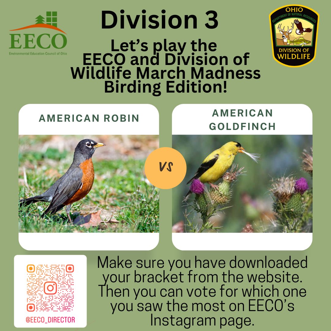 directorEECO's tweet image. Play along and let us know which bird you saw more by voting on our Instagram page. 
To learn about our March Madness Bird Brackets, go to: eeco.wildapricot.org/page-1786411

#getoutside #marchmadnessbirdbracket #BirdingFun