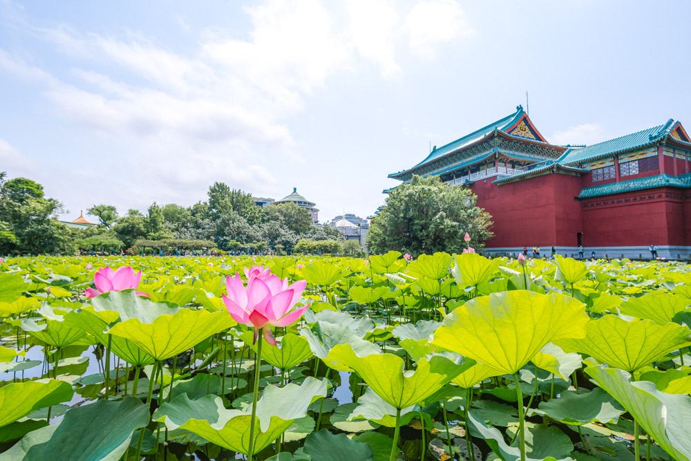 Tai_Everything's tweet photo. ๐ท Explore Chengnan: One of Taipeiโs Hidden Gems!
Read about Taipei Botanical Garden, National Museum of History, and Nanmen Market in the latest edition of TAIPEI quarterly: https://t.co/gsfBUB9Nxz
#Chengnan #TaipeiFood #TaipeiHistory #TaipeiTravel #NanmenMarket https://t.co/OrB90iDsIe