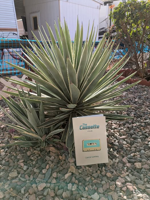 My book The Cassette has found its way to several places (Australia even). Now it's in Arizona! Thanks for sharing!! Get your copy at Amazon! #TheCassettebook #music #books #writing #indieauthors #WritingCommunity
