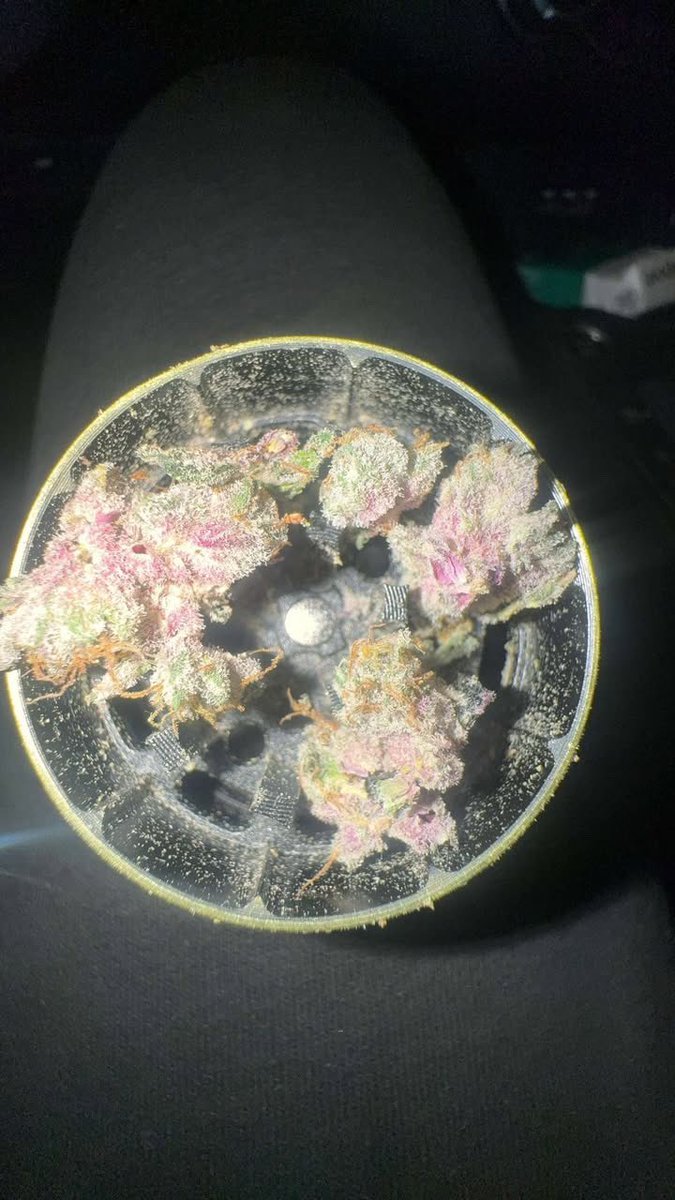 Some 📸 of Divorce Cake 🎂💔

Bred <a href="/AtlasSeeds/">Atlas Seeds</a> 
Medium <a href="/canna/">カンナ</a>
Grown By <a href="/SunnyE46/">Sunny</a>