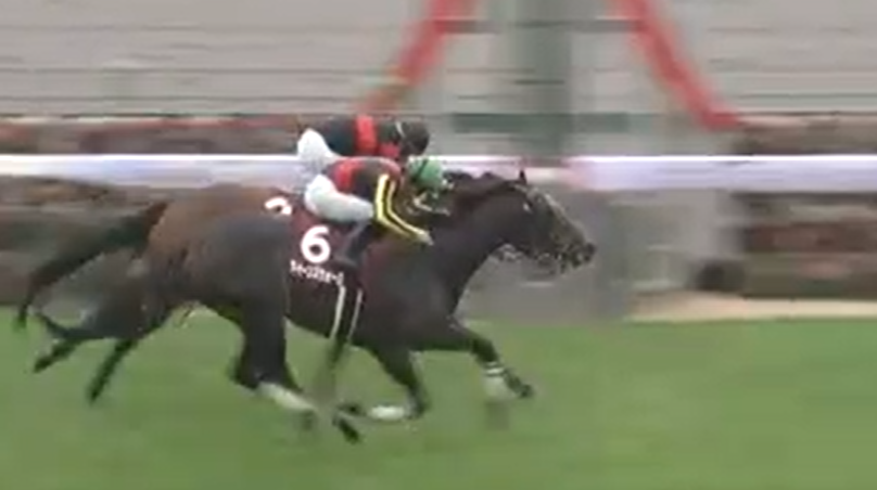 仕事が忙しくて結果だけみたけど。。
中京メインレース 。。
６番　クイーンズウォーク。。
きてたぁぁぁぁぁ💪