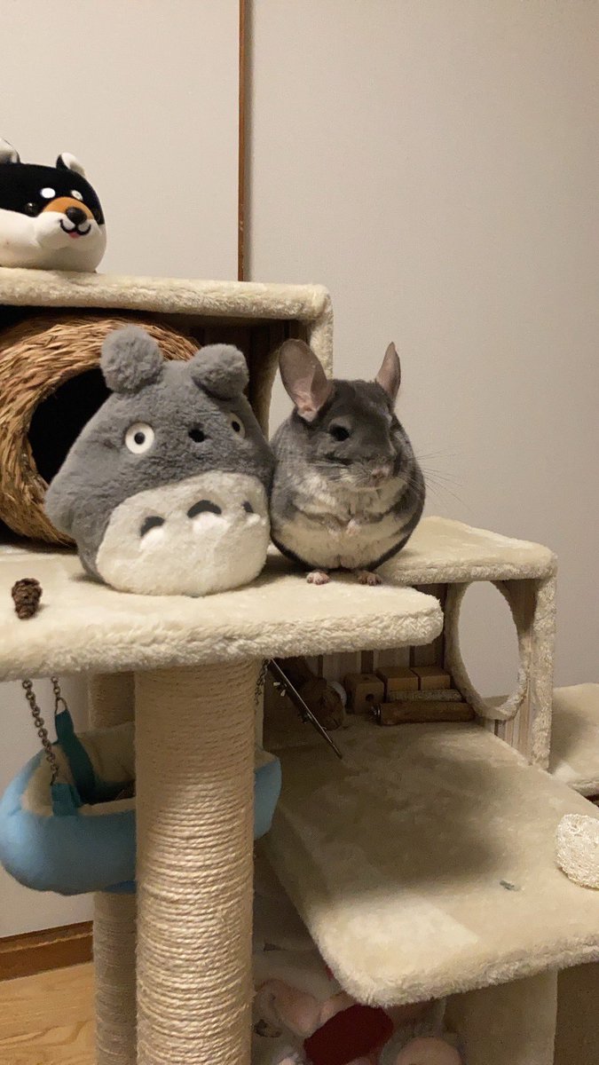 おはぎとゆかいななかまたち tweet media