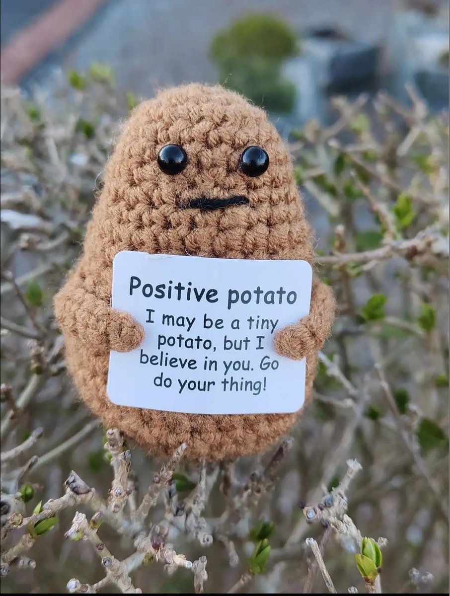 Catherine Tran (@yellowrainmac) on Twitter photo 