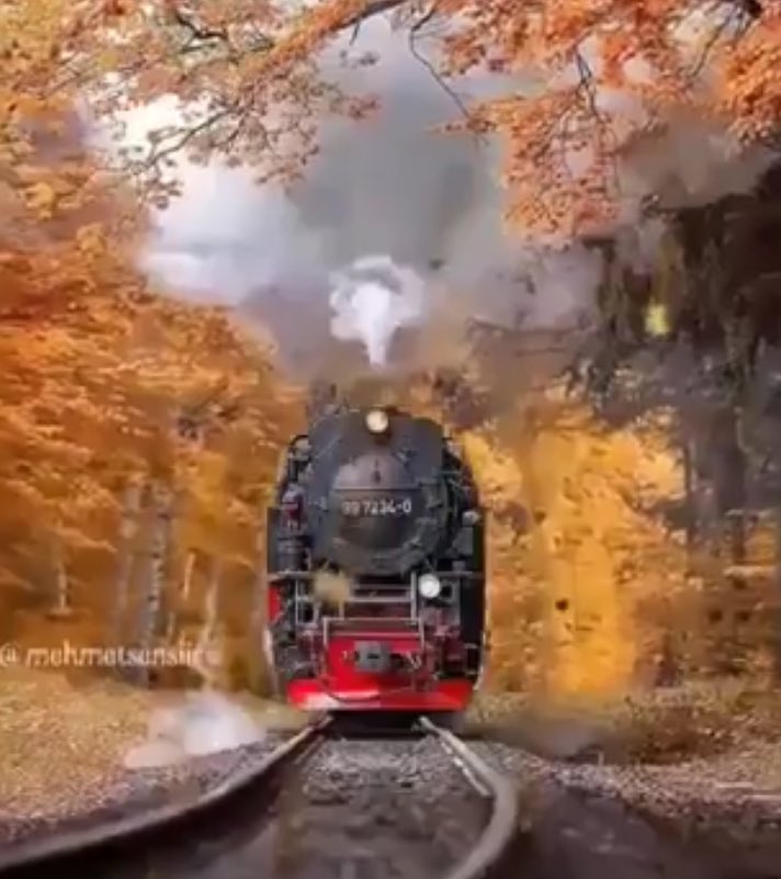 Bazen oluyor
Kendinden başka gidecek 
Yer bulamıyor insan...