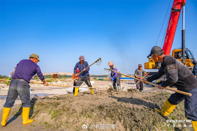 pingtanchina's tweet image. Bumper harvest at Pingtan's Ocean Aquaculture. Check it out! #clams