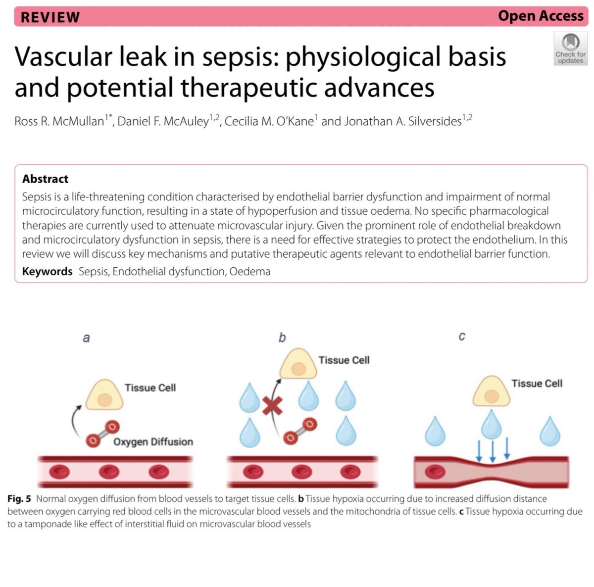 I love these vascular leak articles. Things get really nerdy really quick. This one also digs into therapeutic approaches to sort out the underlying issues. 🎩 tip to the authors. 

eddyjoemd.com/foamed/