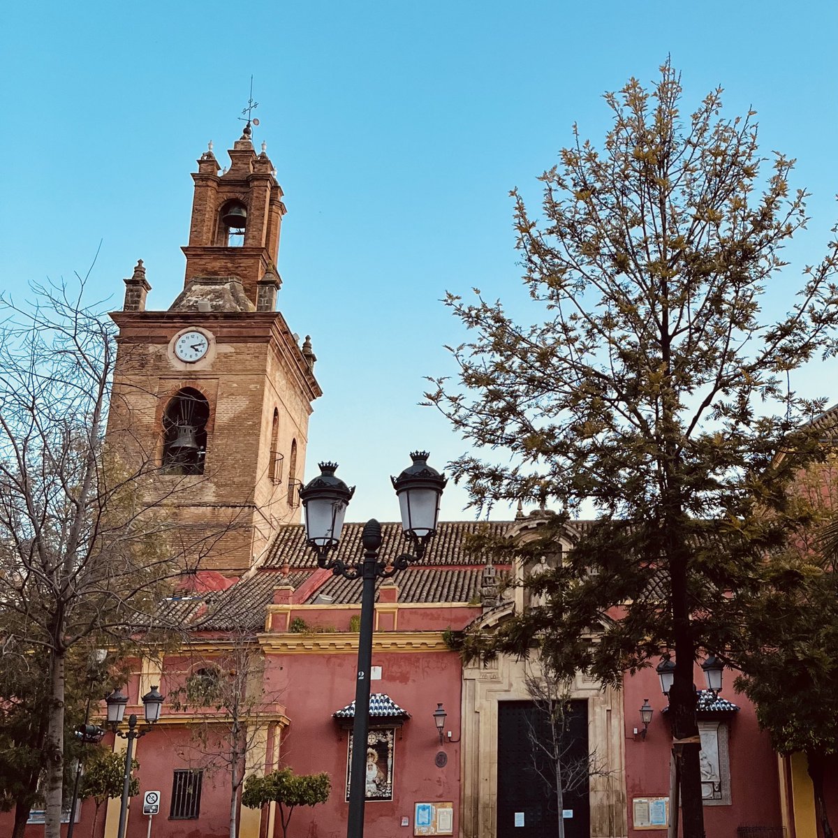 MariaGallardogt's tweet photo. Cielo azul, azahar florenciendo, es Cuaresma… está el día pa tomarse 20! https://t.co/btr6MotzRB