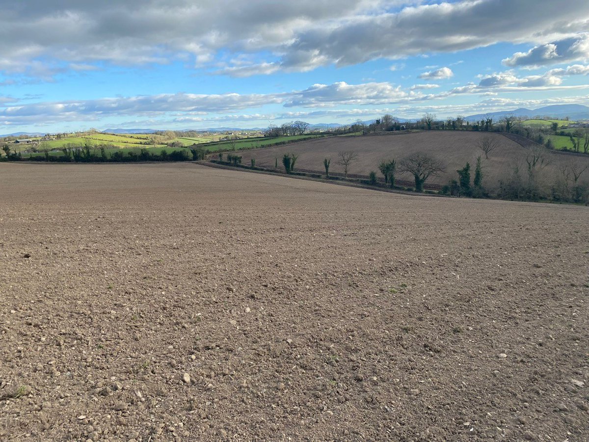 Steven McAllister (@stevenwhites123) on Twitter photo 