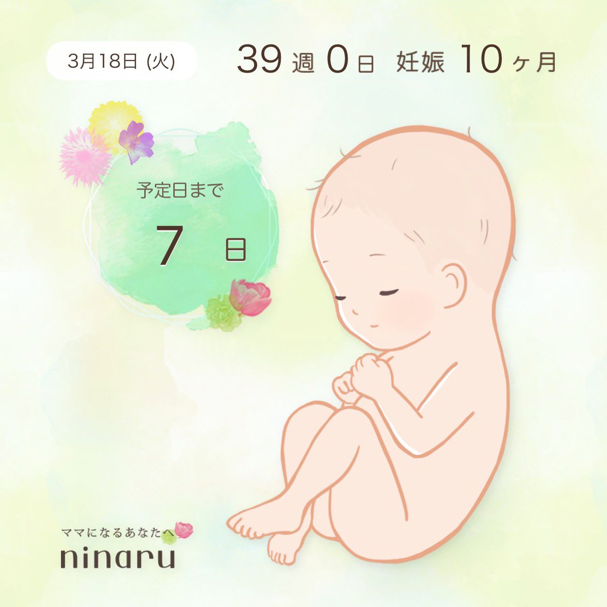 AyaSyoji's tweet photo. 1週間切った〜🤰🏼🩵 https://t.co/PvYByYGP82