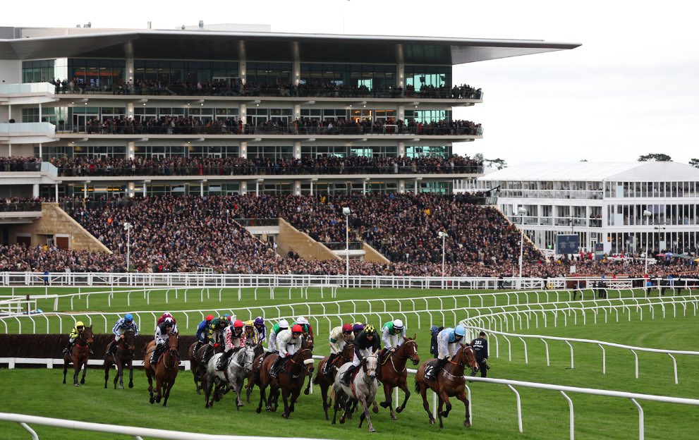 Take us back to a week ago today 😢

The Cheltenham Buzz 🐝
ACCA’s Galore📱
The biggest Roar in Racing 🦁

Only a year to wait 😞