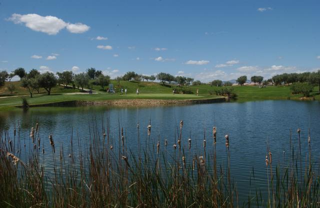 ✅El Campeonato de España Sub 18 Masculino, nueva prueba de fuego para la cantera del golf nacional

⛳️Se juega en Panorámica Golf (Castellón) del 20 al 23 de marzo

🏌️‍♂️Consulta el excelente listado de participantes

rfegolf.es/noticia/el_cam…