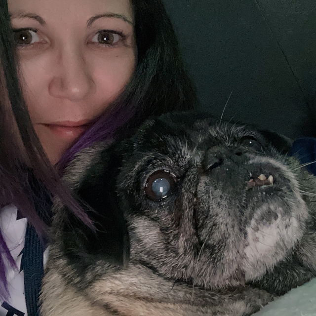 Innovative Marketing tweet media