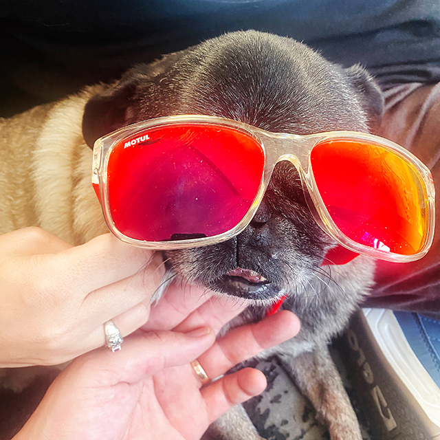 Innovative Marketing tweet media