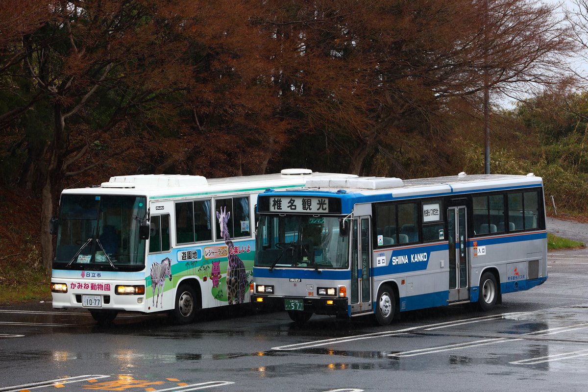 no_step_bus's tweet photo. 2025/3/16
椎名観光バス 
水戸200か577
P-LR312J

先日の貸切にお誘いいただき参加させていただきました。椎名観光バス様、主催の方、参加者の皆様お疲れ様でした。
 #PｰLR577号車で行く日立周回の旅 https://t.co/e1geBK8OzL