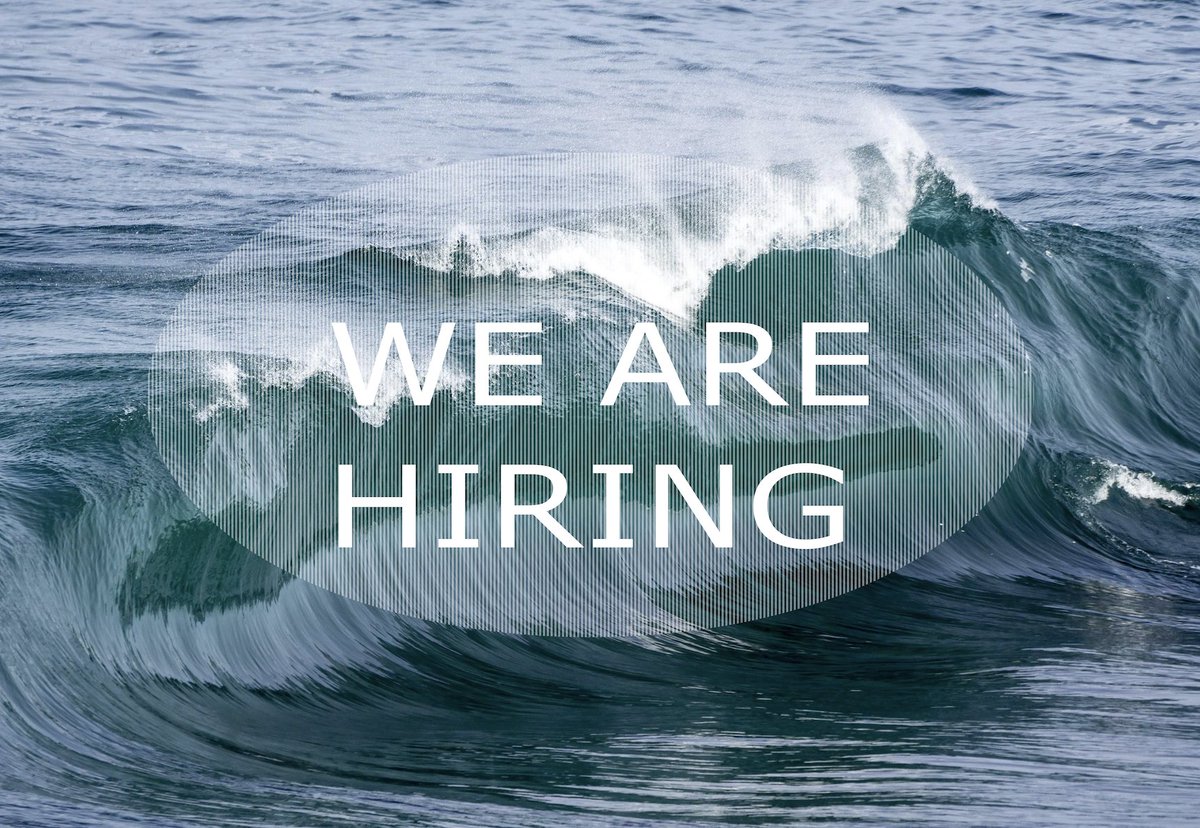 IODEocean's tweet image. [VACANCIES]
IODE has currently 3 open vacancies: iode.org/jobs/
check the deadlines to apply and join our team!