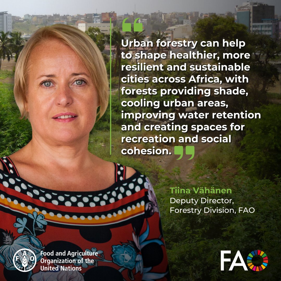 FAOForestry's tweet photo. Urban forestry can help to shape healthier, more resilient and sustainable cities across Africa, with forests providing shade, cooling urban areas, improving water retention &amp; creating spaces for recreation &amp; social cohesion, @FAO's Tiina Vähänen tells #AFUF2025

#GreenCities https://t.co/Gy8cyWdAqy