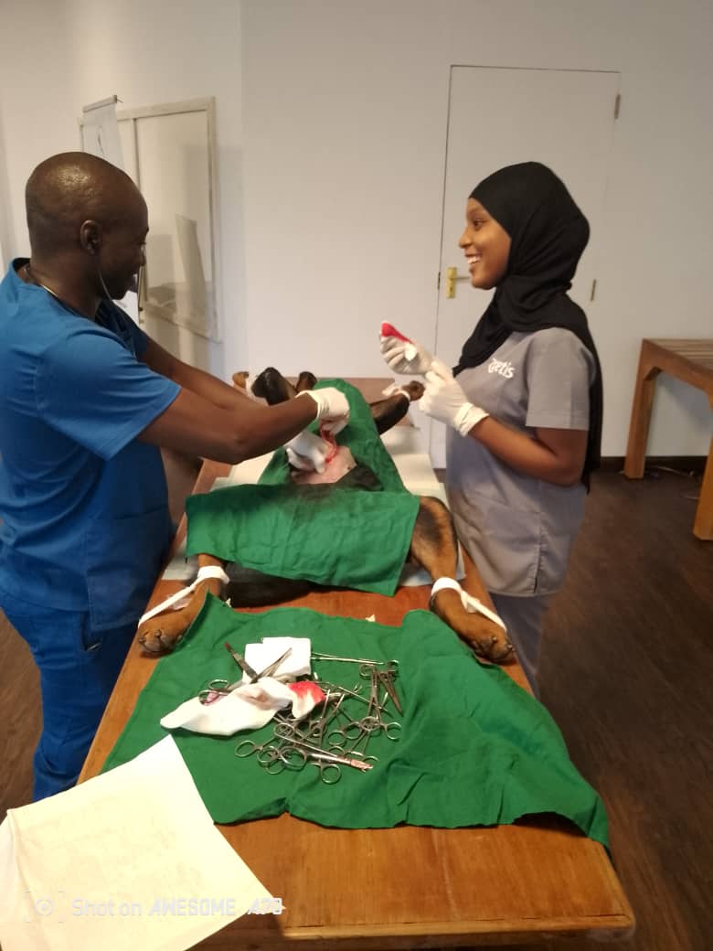 KESCAVAvets's tweet photo. 🐾 Watamu Outreach Update! 🏥🐶🐱

@KspcaK &amp; @KESCAVAvets spent the last 4 days in Watamu conducting vaccinations &amp; spay/neuter surgeries, thanks to Temple Point Resort Watamu for their support! 💉✨

Big thanks to KESCAVA members who joined in. 

 #SpayNeuter #VaccinationDrive https://t.co/kHZgOErrQ8