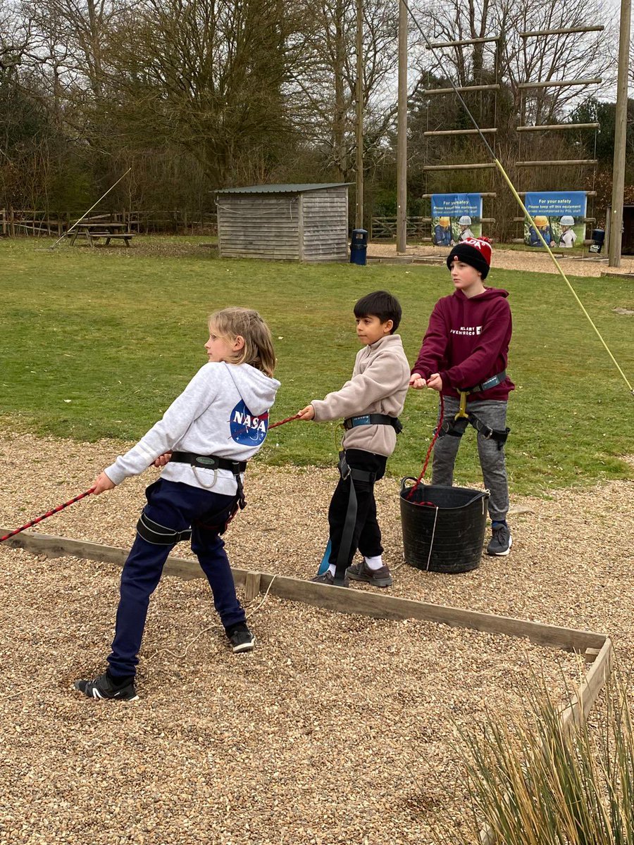 Sandhurst Primary School tweet media