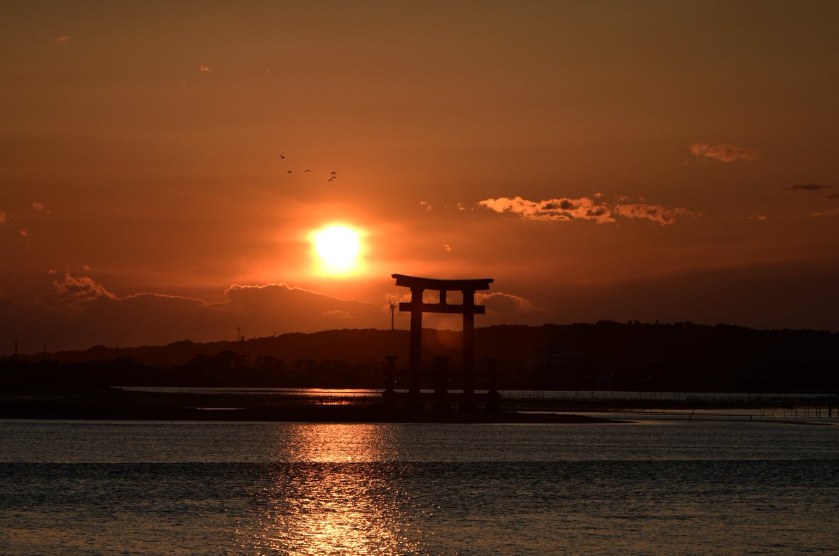 TOSHIMI HIRAYAMA tweet media