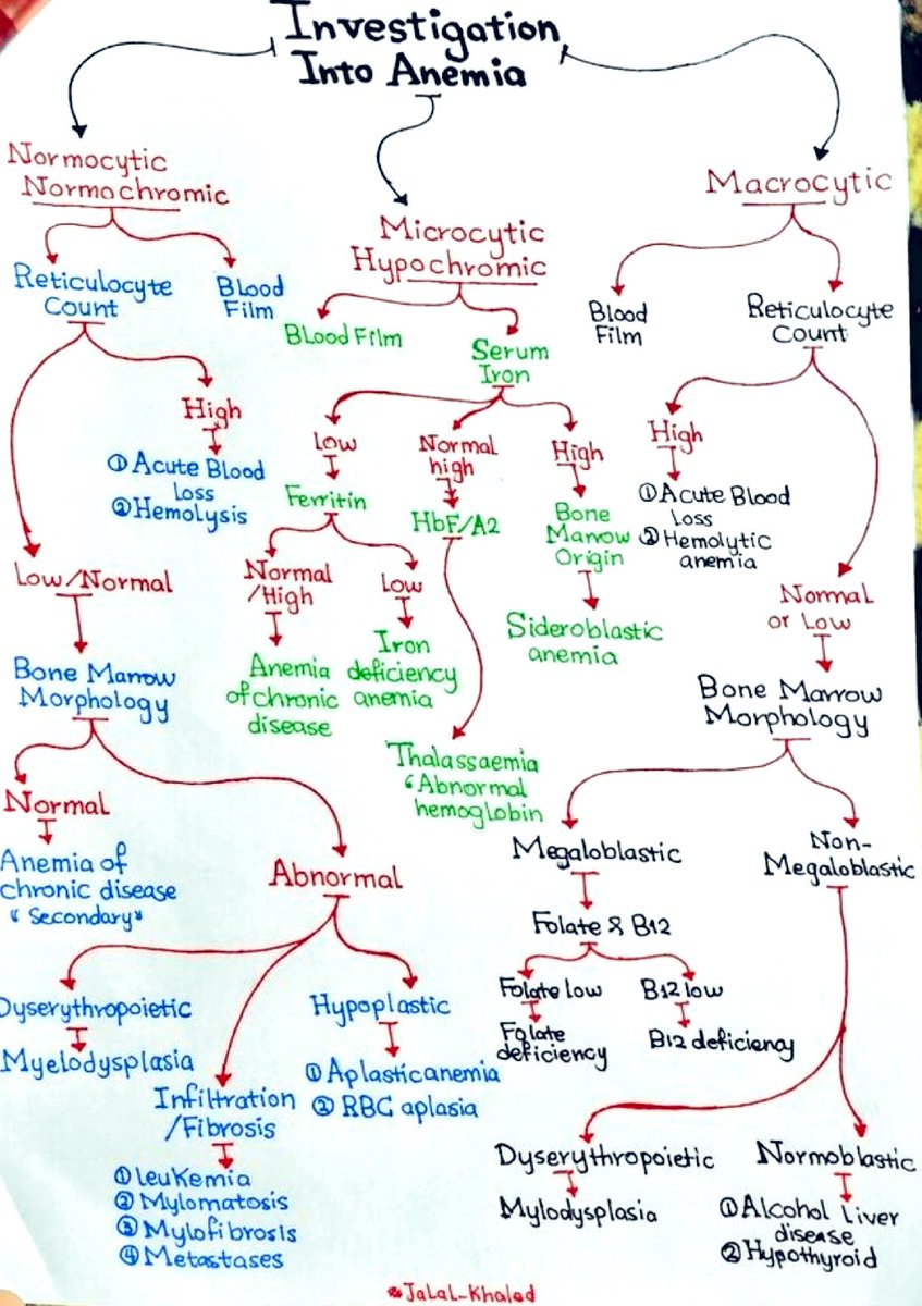 A very nice summary of Anemia investigations by jalal khaled
