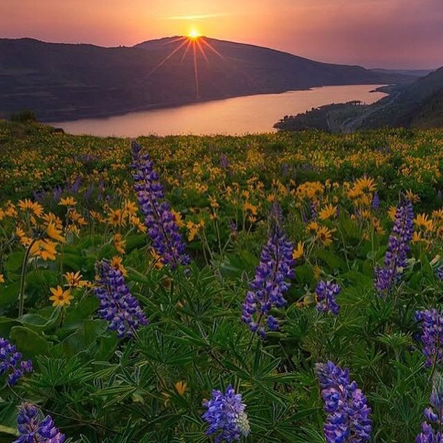 Lost in the beauty of nature. 🌿✨