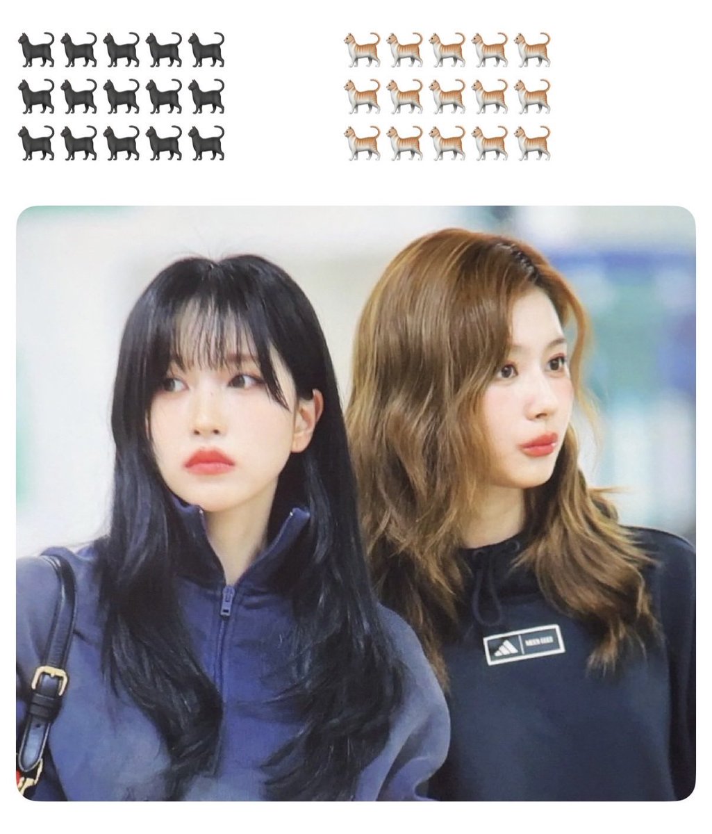 TwiceBubbleEng's tweet photo. SANA 🫧250318

SN: Cute 💗 https://t.co/SxzDN9xZEE