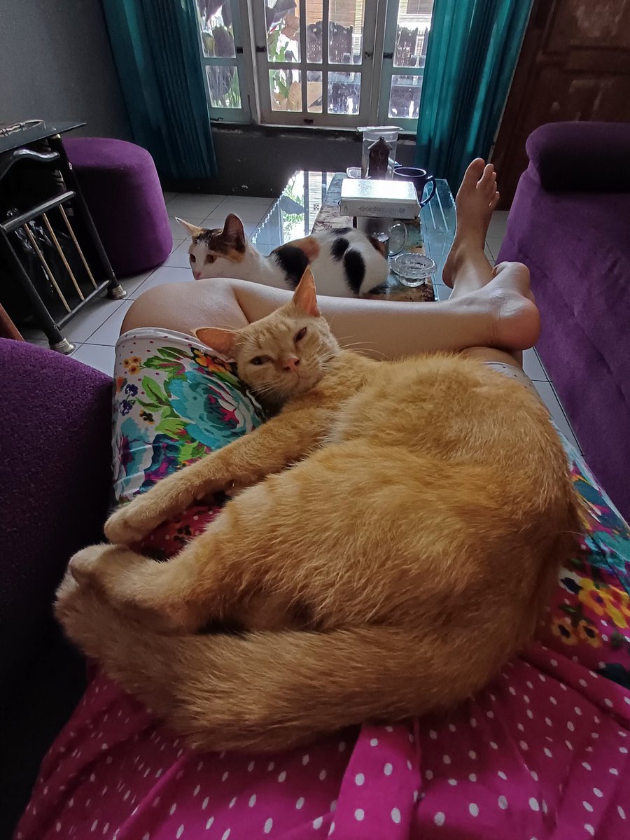 lihatlah aku, nyantaiiii sekali hahaha